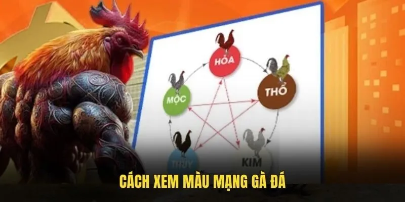 Màu mạng gà đá Xin88 cực kì quan trọng khi anh em chọn chiến kê