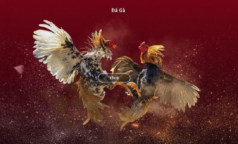 Áp dụng mẹo chơi để gia tăng chiến thắng