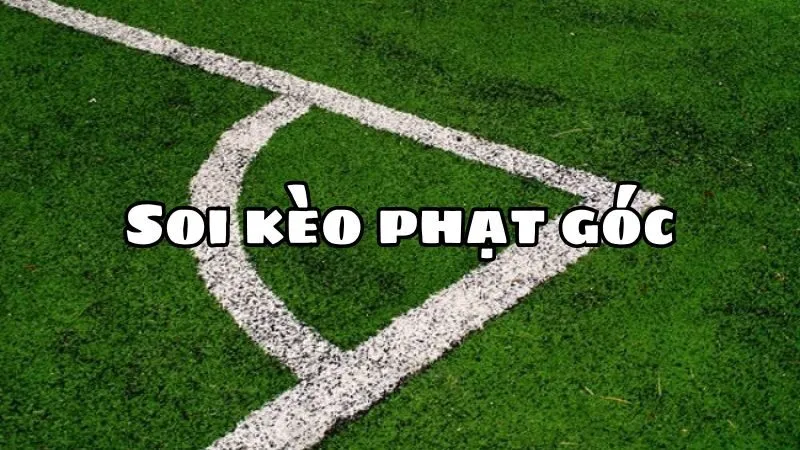 Mỗi loại kèo phạt góc có đặc điểm và cách tính riêng Mỗi loại kèo phạt góc có đặc điểm và cách tính riêng